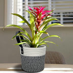 Cotton Rope Hanging Baskets for Organizing 2 Pcs Round Small Wall Basket with Handles Woven Organizer Storage Basket for Kitchen Bedroom Living Room Office(6”x6”, Black & White)