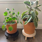 TOPZEA Set of 2 Mini Wooden Stool Display Stand, Short Boho Wood Riser Stools Small Desk Pedestal Stand for Candle, Indoor Plants, Gnome, Counter Decor