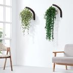 Stylish Wooden Plant Hanger – 2 Pack, 8-Inch Indoor/Outdoor Wall Hooks for Hanging Planters, Flower Pots, Lanterns, and Wind Chimes – Premium Beech Wood Home Decor