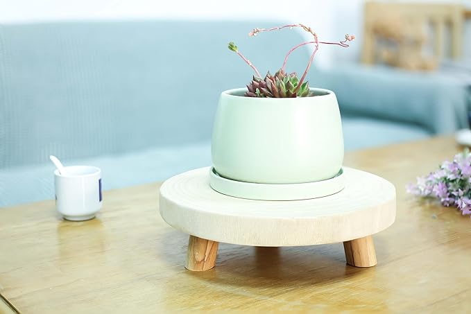 CYS EXCEL 2 Pcs Wooden Plant Stands Modern Raised Display Risers for Indoor Planters Round Natural Wood Slice Pedestals with Short Legs for Tabletop Decor Rustic Boho Home Accent, 11 Inch Diameter