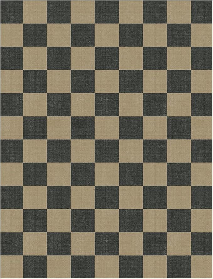 Lessymo Living Room Area Rug 5x7, Checkered Washable Easy Jute Outdoor Patio Rug, Non Shed Carpet for Dining Room Bedroom, Kids & Pets Friendly, Diamond Black/Beige