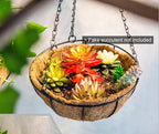 Tosnail 3 Pack 10" Metal Hanging Flower Pots Hanging Planters Plant Basket with Coco Fiber Liners