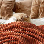 MIULEE Rust Fleece Blanket, Durable Plush Fuzzy Extra Soft Warm Cozy Striped Flannel Throw Blankets for Couch Sofa Bed 30"x40"