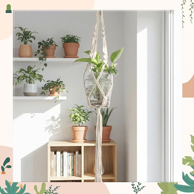 3 Pcs Plastic Plant Propagation with Boho Macrame Hanger Wall Plant Propagation Station Hanging Holder Include Hooks Kit for Indoor Home Garden Office Decor 3 Size, Beige