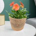 Rustic Handwoven Straw Flower Basket for Indoor Plants Multi-Functional Planter and Storage Holder Natural Decorative Pot for Living Bedroom Office Boho Home Decor