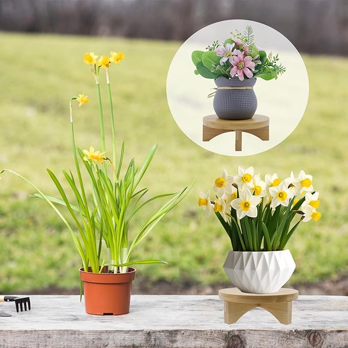 Oedema 6 Inch Indoor Plant Stand Round Solid Wood Flower Stand Mid Century Modern Plant Stand for Displaying, Small Plants, Desktop, Office & Home Decor
