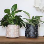 GUGUGO Pearl Beige Scale Planter, Cute Unique Plant Pot with Drainage, Eclectic Colorful Small Flower Planters Pots for Indoor & Outdoor Plants, Rainbow Funny Succulent Gardening Pot Gifts