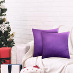 2 Pack 20x20 Pillow Cover Velvet Pillow Covers, Square Throw Pillow Covers for Living Room Decorations Throw Pillow Case, Throw Pillow Cover Cushion Cover for Sofa Bedroom Car, Eggplant Purple