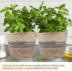 2PCS Plant Baskets Indoor with Liner Rattan Pots Planter Baskets Seagrass Indoor Planter Wicker Planters for and Outdoor Plants