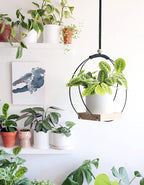 Plant Hanger with Wood Base - Boho Macrame Hanging Plant Holder for Indoor Plants Hanging Planter for Wall /Window/Room Decor Black (Pot & Plant Not Included)