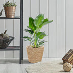 Straw Woven Plant Basket : Planter Basket with Plastic Liner Flower Pots for Home Balcony Farmhouse, 8.65X8.65X8.25in