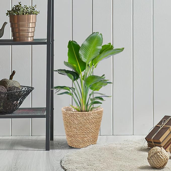 Hemoton Rattan Planter Basket Wicker Plant Flower Pot 8.7 Inch Seagrass Woven Indoor Planter for Home Decor and Succulent Plants