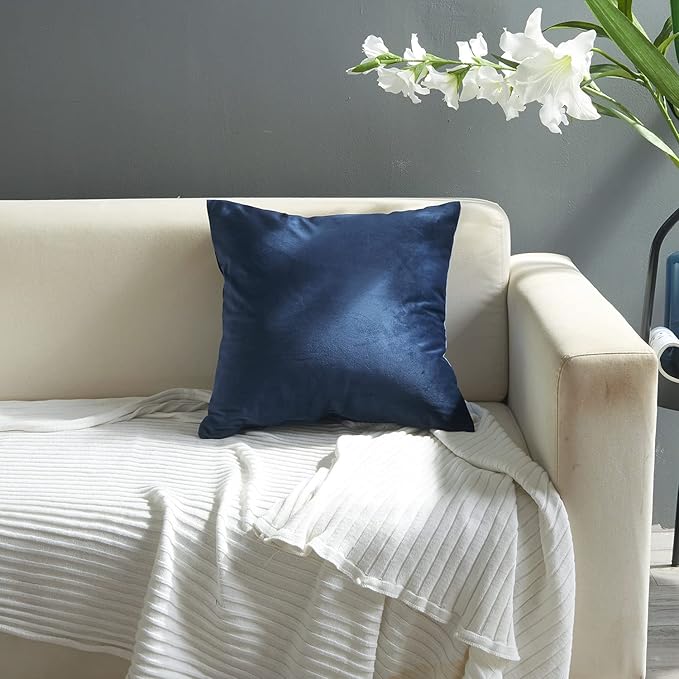 2 Pack Soft Velvet Couch Throw Pillow Covers 20x20 Inch for Sofa Living Room Bedroom (Navy Blue)
