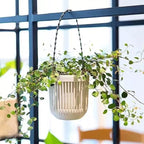 Melphoe 3.5‘’ Two-Piece Succulent Planters Pots with Drainage, Flexible Removable Handle, Flower Pots for Mini Plants, Small Hanging Planter for Wall, Window, 6 PCAK, White