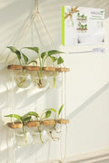 Plant Propagation Station Wall Hanging, Plant Terrarium with 2 Tiered Wooden Stand for Hydroponics Plants, Unique Gardening Gifts for Women Mom Plants Lovers - 6 Bulb Glass Vases