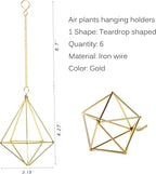 Air Plants Live Holders 6 Pcs Glod Diamond Hanging Planter Small Air Plant Holders Unique with Chains Air Ferns Tillandsia Display for Indoor