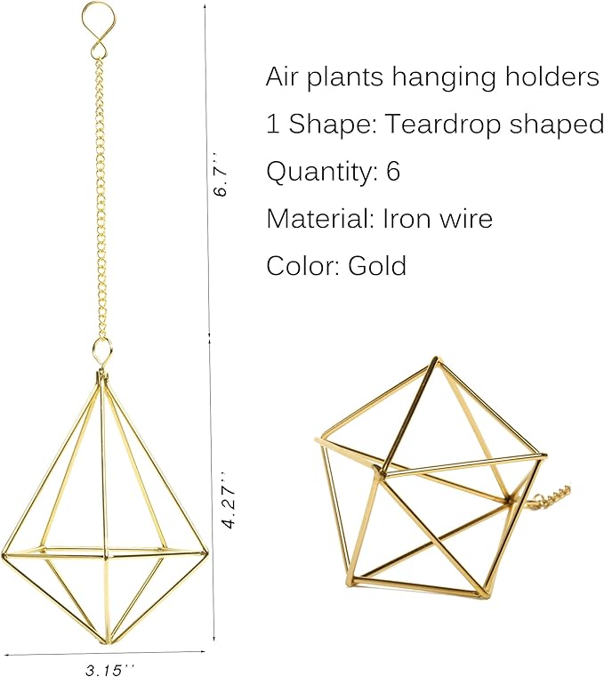Air Plants Live Holders 6 Pcs Glod Diamond Hanging Planter Small Air Plant Holders Unique with Chains Air Ferns Tillandsia Display for Indoor