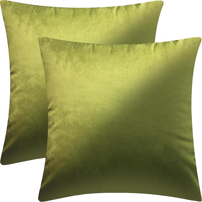 2 Pack 16x16 Pillow Cover Velvet Pillow Covers, Square Throw Pillow Covers for Living Room Decorations Throw Pillow Case, Throw Pillow Cover Cushion Cover for Sofa Bedroom Car, Emerald Green Velvet