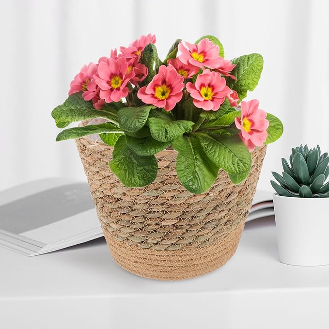 Rustic Handwoven Straw Flower Basket for Indoor Plants Multi-Functional Planter and Storage Holder Natural Decorative Pot for Living Bedroom Office Boho Home Decor