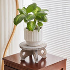 Plant Stools Indoor Wooden Stool for Plants Flower Display with Stand Farmhouse Indoor Small Plant Stand Riser Round Display Stands