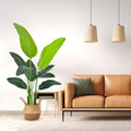 Bird of Paradise Plant Artificial 4ft, Faux Banana Leaf Tree with 9 Trunks in Pot and Woven Seagrass Belly Basket - The Perfect Silk Faux Plant for Indoor Outdoor House Living Room Decor