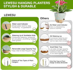 Set of 2 Hanging Planters for Indoor Plants with Self Watering Includes Hanging Pots and 2 Types Plant Hangers, Outdoor Hanging Baskets Holder for Home Garden, 10 Inch Sage Green