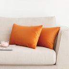 NiNi ALL Decorative Throw Pillow Covers Pack of 2, Halloween Velvet Cushion Case for Couch Bedroom Living Room Outdoor, Pillow Covers 12x20 Inch（30 x 50 cm） Orange