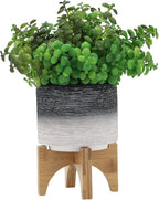 Modern Ceramic Planter with Wooden Stand – Stoneware Plant Pot Holder, Stylish Indoor & Outdoor Home Decor for Living Room, Bedroom, Office, or Garden, Plant Stand Indoor – 6", Gray & White