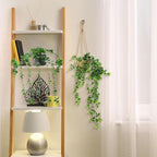 6 Set Mini Fake Hanging Plants with Woven Basket Boho Artificial Ivy Faux Vines Eucalyptus Leaf for Indoor Home Wall Living Room Bathroom Shelf Decor (Mandragora Leaf)