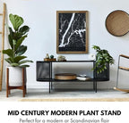 Fox & Fern Mid Century Plant Stand — 11.8 Inch Fixed Size Wooden Plant Stand for Indoor Planters (Not Included) - Large Flower Pot Holder for Indoor Big Pots - Plug In Design - Two Heights - Acacia