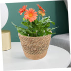 Straw Woven Plant Basket with Flat Base Handmade Flower Pot Holder for Indoor Home Decor Living Bedroom Office Use Natural Boho Style Woven Design