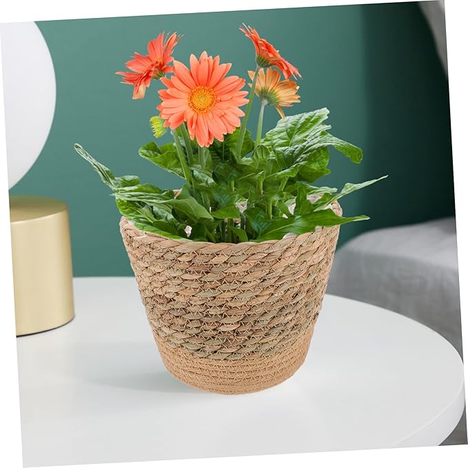 Straw Woven Plant Basket with Flat Base Handmade Flower Pot Holder for Indoor Home Decor Living Bedroom Office Use Natural Boho Style Woven Design