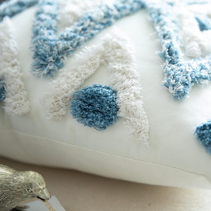 Set of 2 Cotton Woven Boho Throw Pillow Covers, Tufted Decorative Square Pillowcases Covers with Tassels for Couch Sofa Bed, Living Room Sofa, Farmhouse, 20x20 Inch Blue(2 pcs)