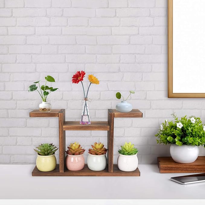 Wood Desktop Plant Stand Indoor - Windowsill Plant Shelf Small Tabletop Plant Holder, Flower Display Rack for Succulent Herb in Living Room Office 6 Tiers