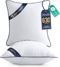 Utopia Bedding Throw Pillow Inserts (Pack of 2, White), 20 x 20 Inches Decorative Indoor Pillows for Sofa, Bed, Couch, Cushion Sham Stuffer
