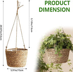 8-Inch Small-Caliber Woven Jute Hanging Planter – Seagrass Plant Basket, Decorative Hanging Plant Holder, Ideal for Home Décor and Storage