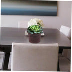 1Pc Seaweed Woven Plant Holder Natural Seagrass Pot Container for Indoor Plants Handcrafted Design Versatile Basket for Home Decor