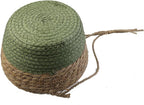 MY MIRONEY 2PCS Hanging Planter Basket Natural Seagrass Woven Plant Pot Hanger Hanging Plant Holder with Twine for Home Decor, Indoor & Outdoor Use, 8.11" x 4.96", Green