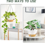 ZMTECH 3 Pack 12 Inch Hanging Planters for Indoor Plants, Large White Self Watering Hanging Planter with Visible Water Level Window & Heavy Duty Chain, Flower Pots for Outdoor Patio