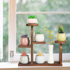 Wood Desktop Plant Stand - 5 Tier Tabletop Plant Shelf Windowsill Flower Shelf Holder Indoor, Small Succulent Herb Display Rack for Home Office Living Room Bedroom Decoration