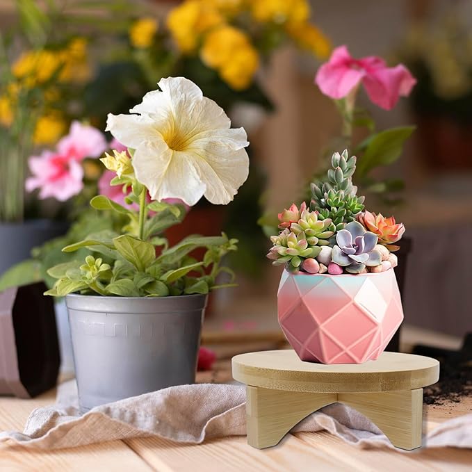 Oedema 6 Inch Indoor Plant Stand Round Solid Wood Flower Stand Mid Century Modern Plant Stand for Displaying, Small Plants, Desktop, Office & Home Decor