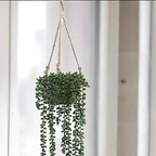 CYS EXCEL Small Wooden Hanging Planter Paulownia Wood Bowl Basket with Jute Rope for Indoor Plants Succulents