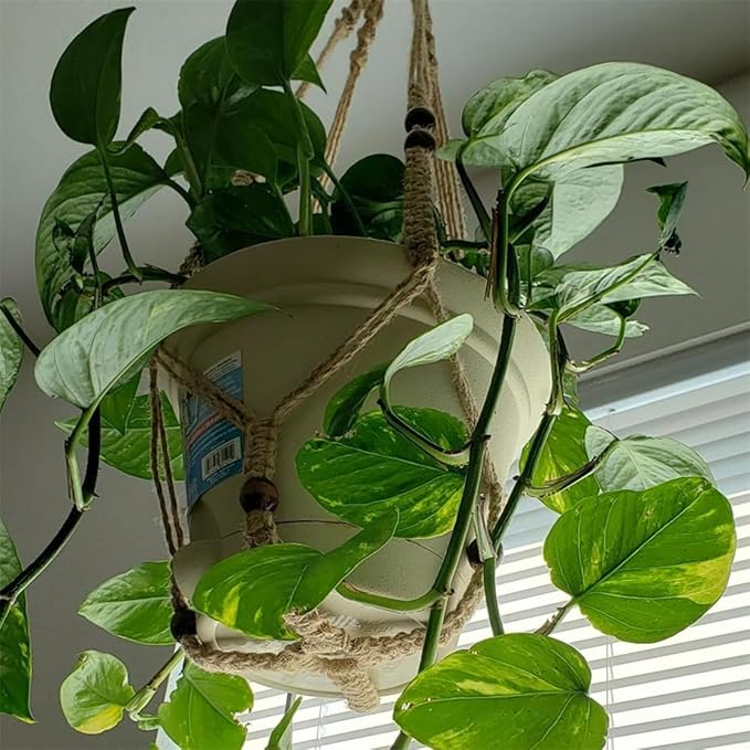 Macrame Plant Hanger Indoor Hanging Plant Holder Hanging Planter Basket with Beads No Tassels for Outdoor Boho Home Decor 35 Inch