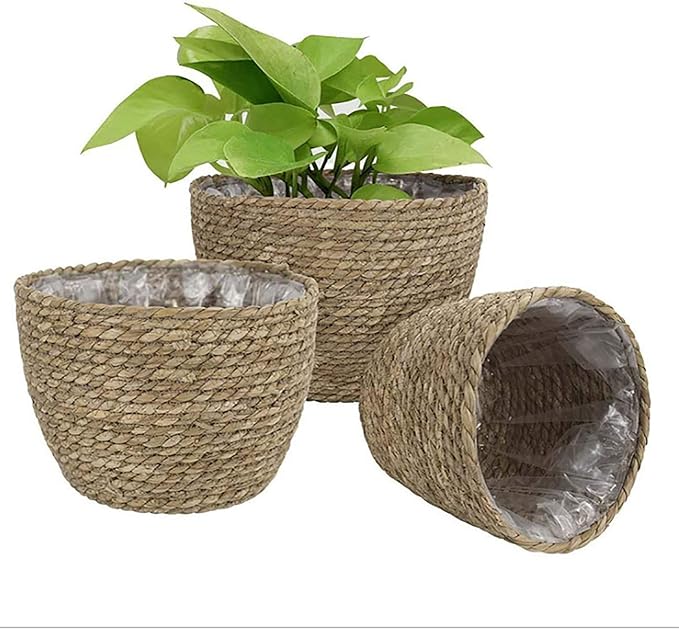Seagrass Basket Planter, Flower Pot Cover, Storage Basket, Plant Container, Hand Woven, Plastic Liner, Beige, 7 Inch, Indoor/Outdoor