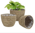 Seagrass Basket Planter, Flower Pot Cover, Storage Basket, Plant Container, Hand Woven, Plastic Liner, Beige, 7 Inch, Indoor/Outdoor