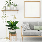 Remerry Plant Basket with Stand, Cotton Rope and Wicker Plants Baskets Indoor with Plastic Liner and Stand, Green White Woven Flower Pot for Indoor Home Living Room Floor Potted Decor(10inch)