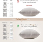 puredown® 22x22 Feather Down Pillow Insert, 1 Pack Throw Pillow Insert for Couch, Chairs, Office, Apartments