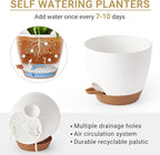 Mkono 3 Pack Hanging Planters for Indoor Plants with Self Watering, Outdoor Hanging Plant Pots with 35"/29"/23" Macrame Plant Hangers, 2 Types of Hanging Baskets for Garden Home Decor