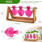 XXXFLOWER Plant Terrarium Propagation Stations Unique Gifts for Women Wife Mom Plant Lovers 3 Heart Shaped Vases for Hydroponics Home Garden Office Decor(Plants NOT Included)