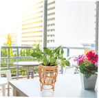 Boho Style Rattan Planter Indoor Outdoor Home Decor Baskets for Plant Decor
